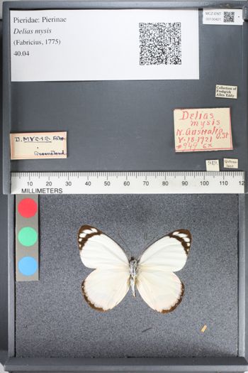 Media type: image;   Entomology 130421